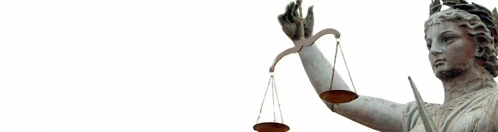 Perez & Perez Bankruptcy 5