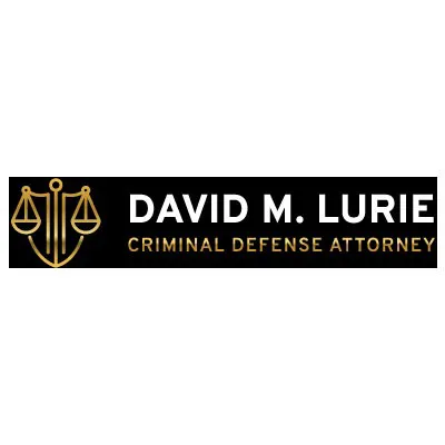 David M. Lurie, Criminal Defense Attorney 5