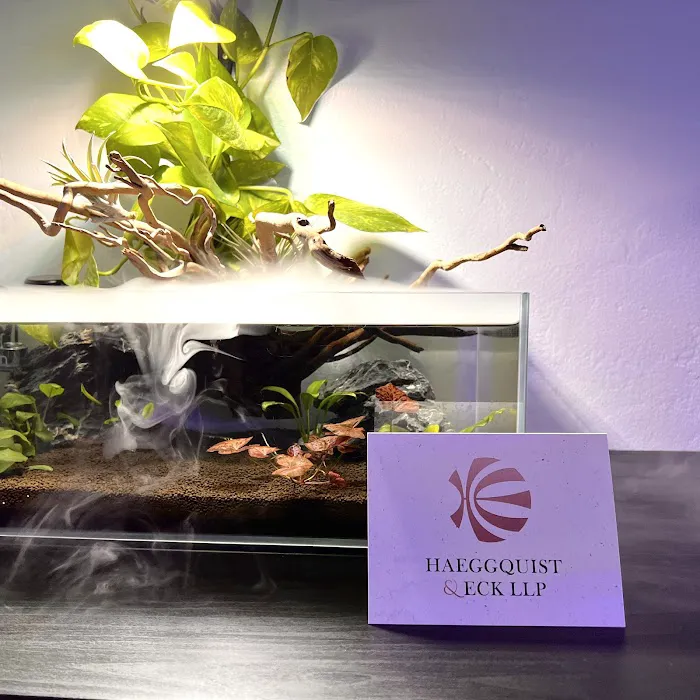 Haeggquist & Eck, LLP 5