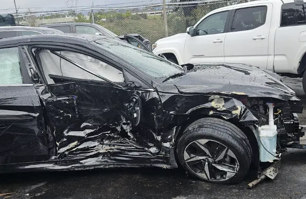 Pines Salomon Personal Injury Lawyers San Diego 5