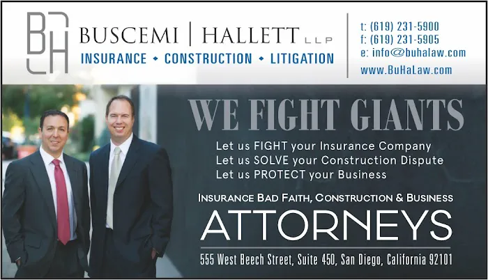 Buscemi Hallett LLP 5