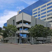 Doyle APC Law Firm ico