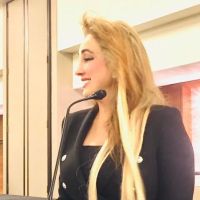 Law Offices of Areeg Akel ico