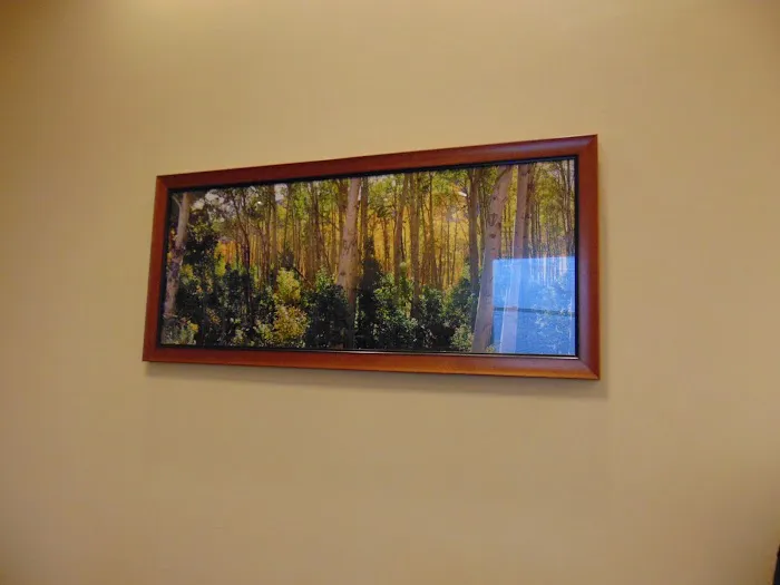 William H Sauls Law Office 5