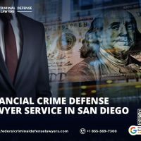 Federal Criminal Defense Lawyers ico