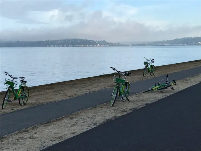 Washington Bike Law 5