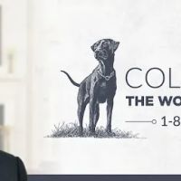 Collier Law P.L.L.C ico