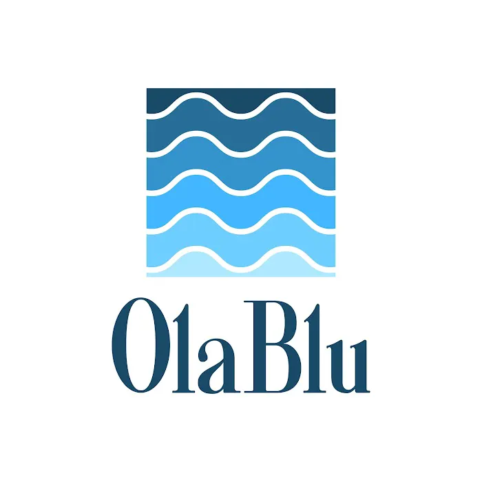 OlaBlu Law, PLLC 5