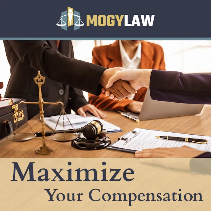 Mogy Law 5