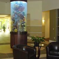 Lake Norman Wealth Counsel ico