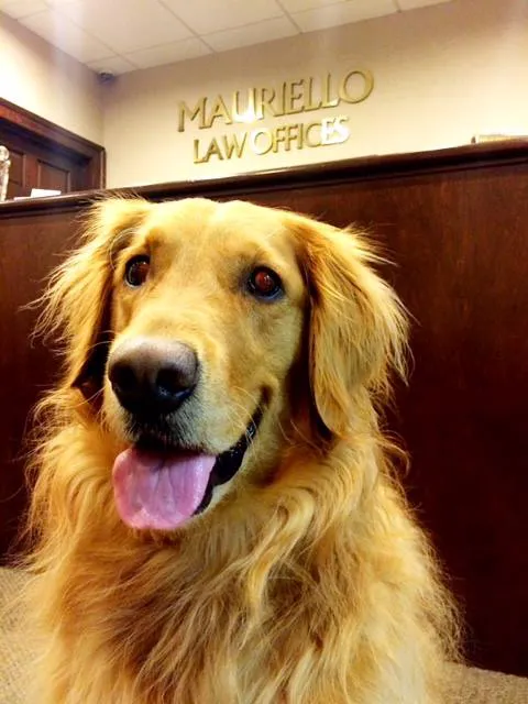 Mauriello Law Offices, P.C. 4
