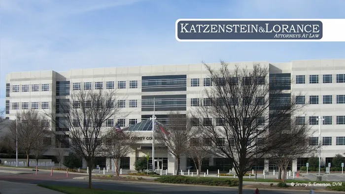 Katzenstein & Lorance 4