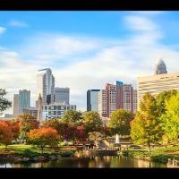 The Wood Law Firm, PA ico