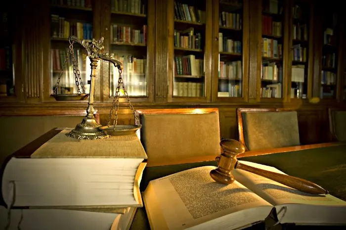 Palmé Law Firm, P.A. 5