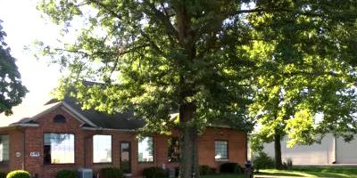 AlerStallings LLC