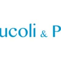 Brucoli & Potter LLC (FKA The Law Office of Suzanne K. Sabol) ico