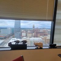 Charlene Wilson Law Office ico