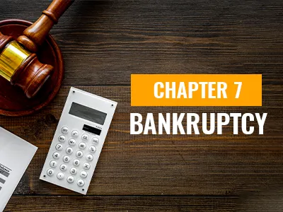 The Winter Law Group 5