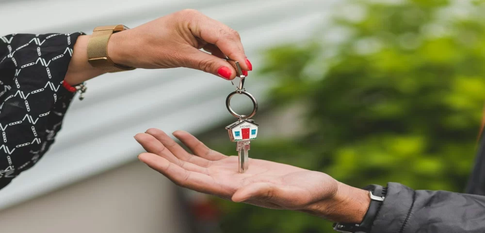 Effective Strategies to Handle Property Title Defects and Protect Your Ownership
