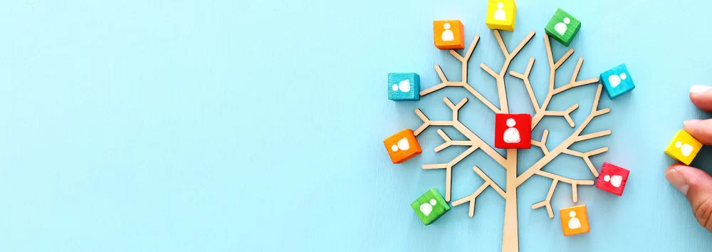 Understanding Business Succession Planning: Key Strategies and Insights