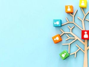 Understanding Business Succession Planning: Key Strategies and Insights