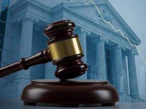 Understanding the Rights of Co-Creditors in Insolvency Proceedings: Key Insights and Practical Guidance