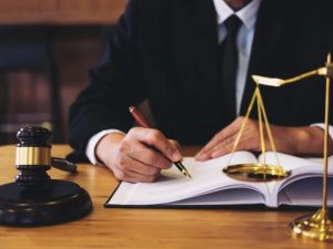 Understanding Creditor Rights in Bankruptcy Proceedings: A Detailed Guide