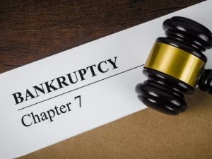 Navigating Chapter 7 Bankruptcy as a Creditor: Essential Guide to Protect Your Interests