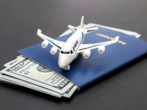 Understanding Creditor's Rights in Airline Bankruptcies: A Detailed Guide