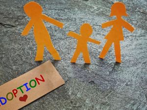 What Is the Legal Process for Adoption? A Detailed Guide for Prospective Parents