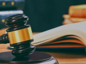 Understanding the Role of Public Administrators in Probate Matters