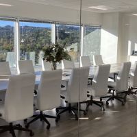 Law Offices of Reisner & King LLP ico