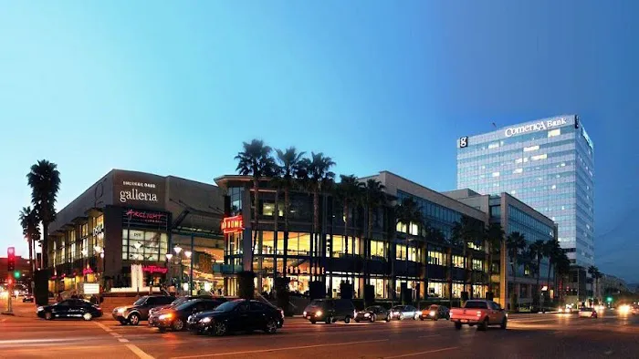 LAW OFFICES OF ELAINE O. SAN JUAN 5