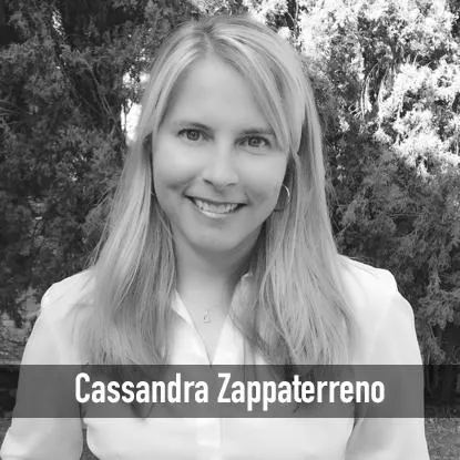 Hogan Zappaterreno, LLP 4