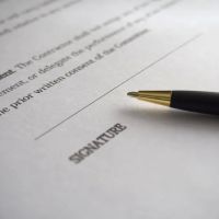 Tenina Law, Inc. ico