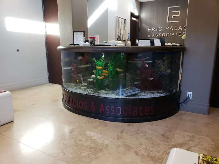 Eric Palacios & Associates Ltd 5