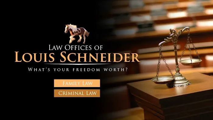 Law Offices Of Louis Schneider 5