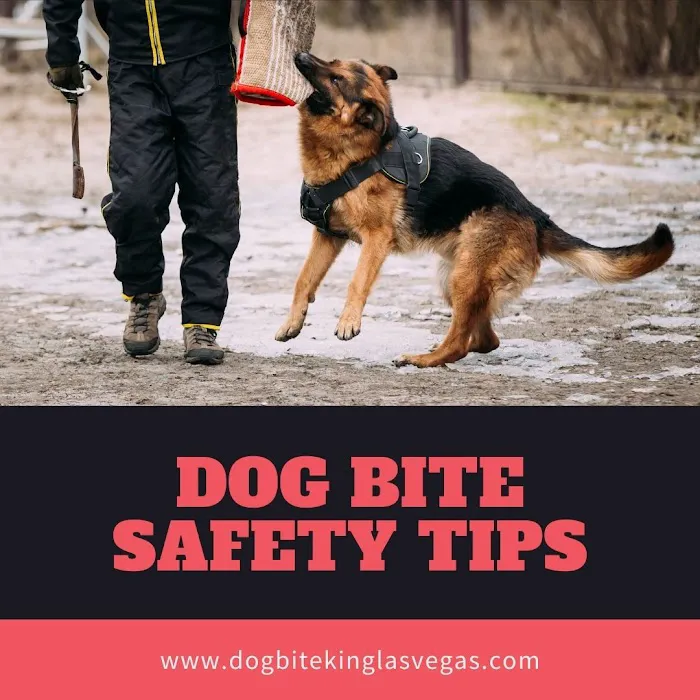Dog Bite King Law Group 5