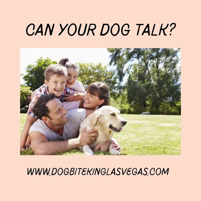 Dog Bite King Law Group 5