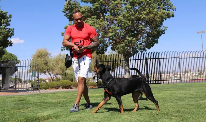 Spartacus Criminal Defense Lawyers Las Vegas 5
