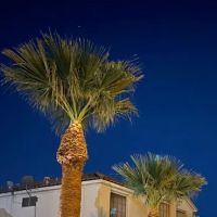 Pritzker Hageman, P.A. - Nevada Office ico