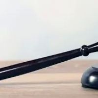 Feldman & Lee PS ico