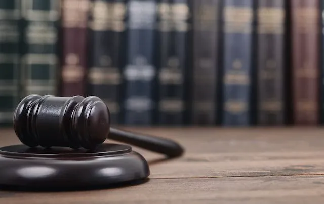 Mills Adoption Law 5