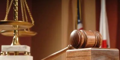 The Law Offices of Michele Cobin Friedlander