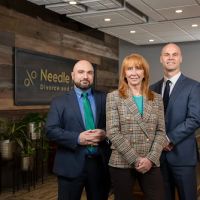 Needle | Cuda: Divorce & Family Law ico