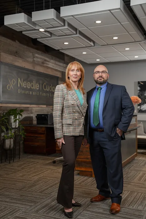 Needle | Cuda: Divorce & Family Law 4