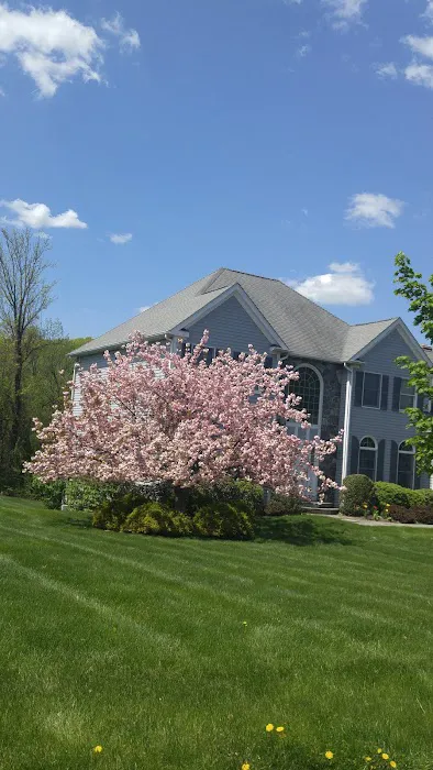 Law Office of Thomas W Ozimkoski Jr LLC 4