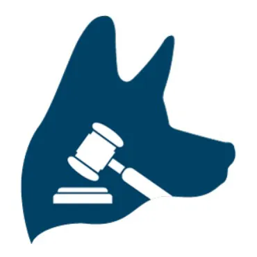 TopDog Law Personal Injury Lawyers 5