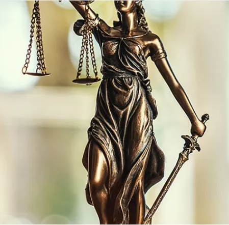 Law Offices of Elizabeth A. Granoff 5