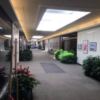 Law Offices of R.F. Wittmeyer, Ltd. ico